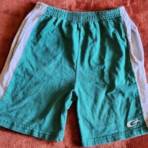 Vintage 90s BIKE Green & Heather Grey High Waisted 100% Cotton Athletic Shorts.